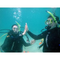 Open Water Course (Learn To Dive) | Goat Island