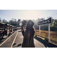 Puffing Billy Rainforest Tour