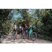 Cenote Trail Bike Tour - 2 Cenotes & Jungle Lunch