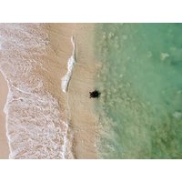 Summer Sunset Turtle Watching Tour | Exmouth