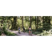 Vancouver Epic Electric Cycling Tour - E-bike Tour