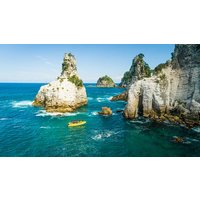 Ocean Leopard Cathedral Cove Highlights Tour
