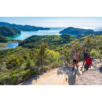 Kayak And Abel Tasman Walk - 1 Day Tour