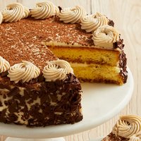 Tiramisu Classico Cake