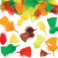 Federn in Herbstfarben (pro Set 120) Bastelmaterial