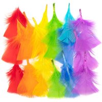 Federn in Regenbogenfarben (pro Set 175) Bastelmaterial