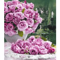 Parfum-Rose `Dioressence®` Parfum-Rose `Dioressence®`