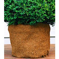 Kokos-Schutzmatte 1,5 x 0,5 m (1,5 x 0,5 m) Kokos-Schutzmatte 1,5 x 0,5 m (1,5 x 0,5 m)