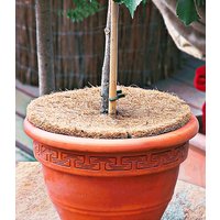 Kokos-Abdeckscheibe 45 cm Kokos-Abdeckscheibe 45 cm