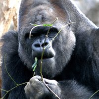 Barcelona Zoo