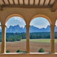Montserrat, Food and Wine