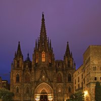 Gothic Quarter and flamenco show