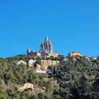 Barcelona's Secret Forest