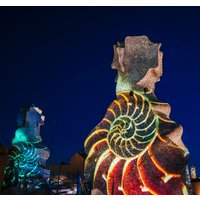 La Pedrera Night Experience