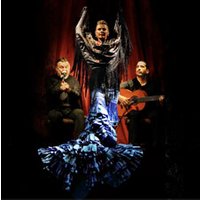 Flamenco Casa Sors