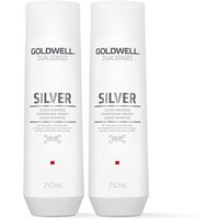 Goldwell Dual Senses Silver Shampoo 250ml Double