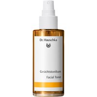 Dr. Hauschka Gesichtstonikum 100 ml
