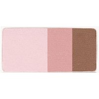 Aveda Petal Essence Eye Color Trios 2,5 g 994/Earth Rose