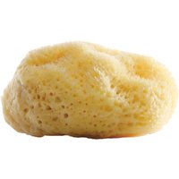 Gertraud Gruber Marine Balance Natur Gesichtsschwamm 1 Stück