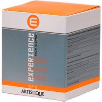 Artistique Experience High Blonde 450 g