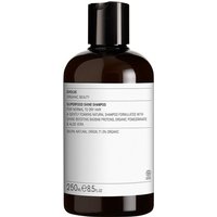 Evolve Organic Beauty Superfood Shine Shampoo 250 ml