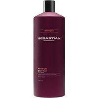 Sebastian Penetraitt Shampoo 1000 ml