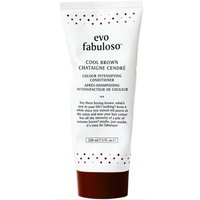 EVO - Fab Colour Boosting Treat. Cool Brown 220ml