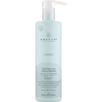 Paul Mitchell Awapuhi Wild Ginger Repair Intensive Treatment 500 ml