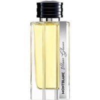 Montblanc Vetiver Glacier Eau de Parfum (EdP) 125 ml