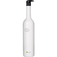 O'right Camellia Oil-Control Shampoo 1000 ml
