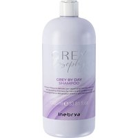 Inebrya Greylosophy Grey By Day Shampoo 1000 ml
