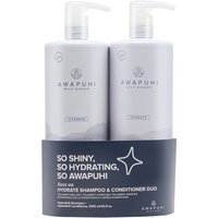 Aktion - Paul Mitchell Save Big Awapuhi Wild Ginger Hydrate 2x 1000 ml