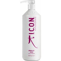 I.C.O.N. Fully Antioxidant Shampoo 1000 ml