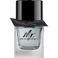 Burberry Mr. Burberry Eau de Toilette (EdT) Natural Spray 50ml