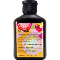 Amika Hydrate Conditioner 100 ml