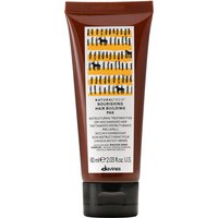Davines Natural Tech Nourishing Hair Building Pak 60 ml