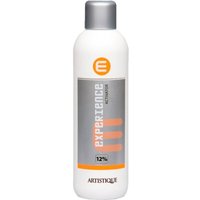 Artistique Experience Activator 12% 1000 ml