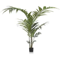 Coco Maison Kentia Palm plant H210cm – Rabatt 36.6666666667 % ! Coco Maison Kentia Palm plant H210cm – Rabatt 36.6666666667 % !