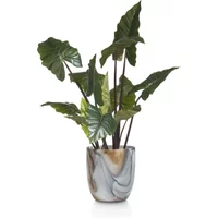 Coco Maison Colocasia Kunstpflanze H130cm – Rabatt 36.6666666667 % ! Coco Maison Colocasia Kunstpflanze H130cm – Rabatt 36.6666666667 % !