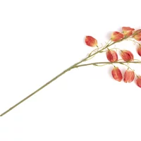 Coco Maison Physalis Spray Kunstblume – Rabatt 36.6666666667 % ! Coco Maison Physalis Spray Kunstblume – Rabatt 36.6666666667 % !