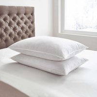 Bedeck of Belfast Bedeck of Belfast Goose Feather & Down Pillow Pair listed by Bedeck Home