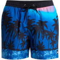 Quiksilver - Everyday Printed Volley 15'' - Badehose Gr S blau