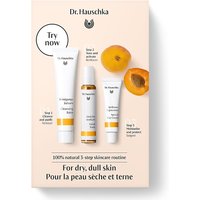 Big Green Smile 20% Discount on Dr Hauschka Apricot Skincare Kit for Dry Skin