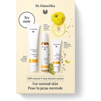 Big Green Smile 20% Discount on Dr Hauschka Quince Skincare Kit for Normal Skin