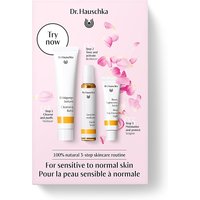 Big Green Smile 20% Discount on Dr Hauschka Rose Light Skincare Kit for Sensitive Skin