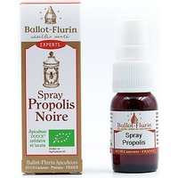 Promotion Big Green Smile 20% de réduction sur le spray propolis Ballot Flurin