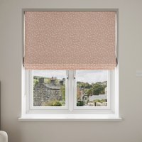 Laura Ashley Campion Plaster