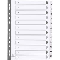 EXACOMPTA Karton-Register 1-12, DIN A4, weiß, 12-teilig