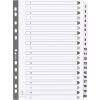 EXACOMPTA Karton-Register 1-20, DIN A4, weiß, 20-teilig