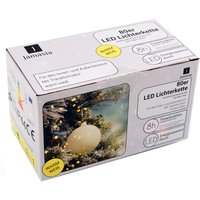 Jamasia LED-Lichterkette, grün, 80 Lichter, IP 44